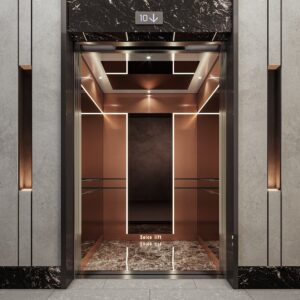 کابین آسانسور SL217