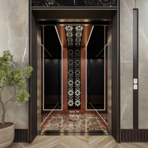 کابین آسانسور SL204